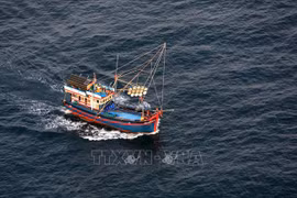 Almost all fishing boats in Kien Giang equipped with monitoring devices