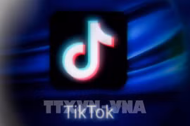 TikTok removes over 2.4 million videos posted by Vietnamese users