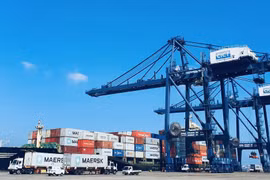 Quang Ninh to further facilitate operation of int’l container shipping firms