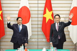 Vietnam-Japan relations growing robustly: expert 