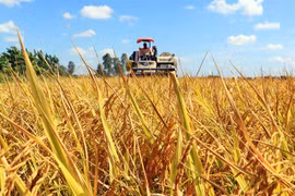 PM issues action plan on Mekong Delta development