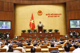 Legislators continue discussing draft laws