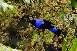 Meeting helps finalise strategy for species conservation