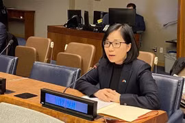 Vietnam reaffirms support for UN Secretary-General’s appeal for global ceasefire