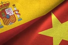 Spain treasures comprehensive cooperation with Vietnam: official