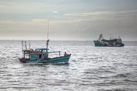 Vietnam boosts satellite-based vessel monitoring to eradicate IUU fishing