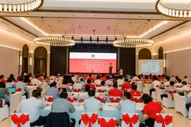 Vietnam Red Cross Society targets helping more poor fishermen, children