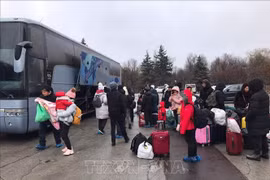 Embassy in Czech Republic working hard to support Vietnamese fleeing Ukraine