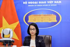 Vietnam appeals for cooperation, contributions to peace, stability, legal order at sea