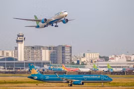 Domestic air transport sees strong rebound after pandemic 