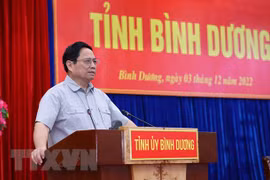 Binh Duong province asked to strive for rapid, sustainable development