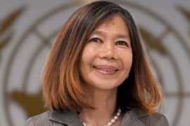 UN ready to support Vietnam in responding to new challenges: Coordinator 