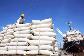 Philippines remains biggest importer of Vietnamese rice 
