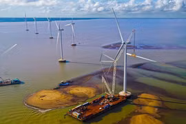 Ben Tre develops marine economy 