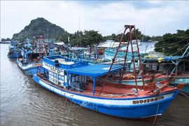 EC team to inspect Kien Giang’s efforts to prevent IUU fishing
