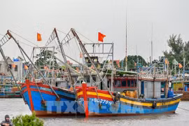  Thanh Hoa vessels possible of violating rules against IUU fishing announced