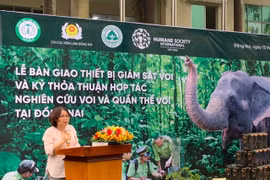 Dong Nai forest rangers supported in elephant protection