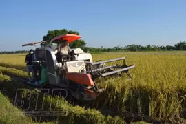 Italian, Vietnamese localities look to expand economic cooperation