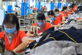 Domestic labour market bouncing back: GSO