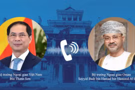 Vietnam forges multi-faceted cooperation with Oman, UAE