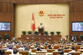 Revision of Petroleum Law aims to create smoother legal corridor: Minister