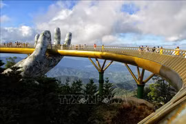 Domestic tourism market bustling in summer
