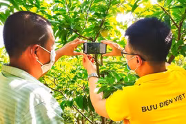 E-commerce training course held for farmers in Hung Yen