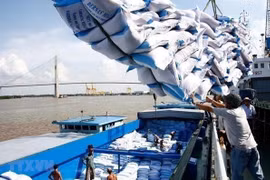 Vietnam’s rice export to hit 7 million tonnes this year