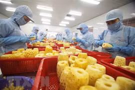Four out of 10 Vietnamese businesses benefit from EVFTA: VCCI survey