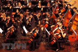 Concert to mark Vietnam-RoK diplomatic relations anniversary