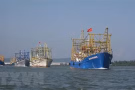 Vietnam denounces China's military drill, asserts sovereignty over Hoang Sa archipelago