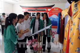 Over 4,000 people join Vietnam-Japan Cultural Exchange Festival in Da Nang