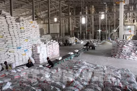 Rice aid approved for three localities on lunar new year