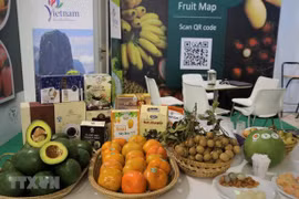 Vietnam targets over 5 billion USD in fruit export turnover by 2025