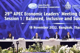 Vietnam calls for dialogue, joint actions for common interests in APEC
