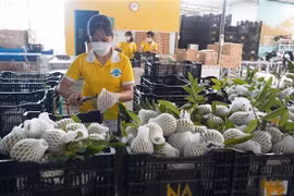 Business association helps connect Vietnamese, Malaysian firms