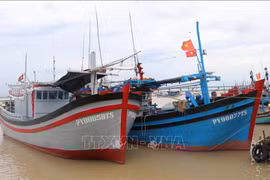 Ba Ria-Vung Tau: fishing vessels without monitoring system not allowed to go out to sea 