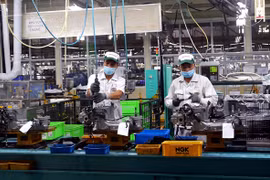 Vietnamese enterprises limited in global supply chain