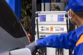 Gov’t approves draft resolution on environmental protection tax on petrol