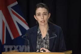 Prime Minister of New Zealand starts official visit to Vietnam