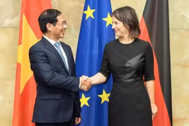 Foreign Minister Bui Thanh Son pays visit to Germany 