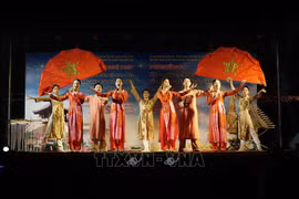 Vientiane art programme highlights Vietnam - Laos solidarity