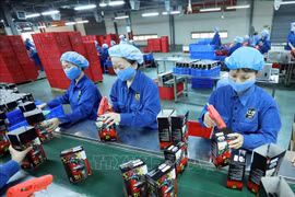 Number of new enterprises in Ca Mau surges