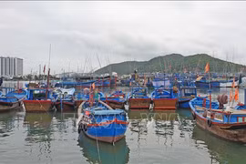 Khanh Hoa asked to hasten moves to address IUU fishing