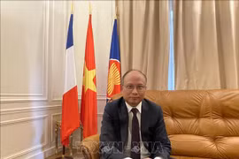 Lao Ambassador makes Tet visit to Vietnamese Embassy in France 