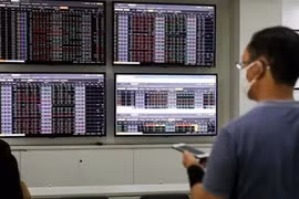 Domestic stock market remains stable: official