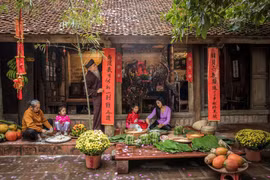 Contest launched to promote Vietnam’s traditional Lunar New Year
