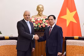 Vietnam aims to reinforce relations with Egypt: FM