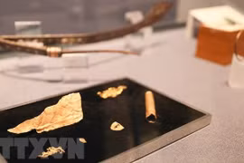 Exhibition displays treasures of Thang Long Imperial Palace