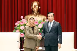 Hanoi eyes stronger cooperation with Singaporean partners